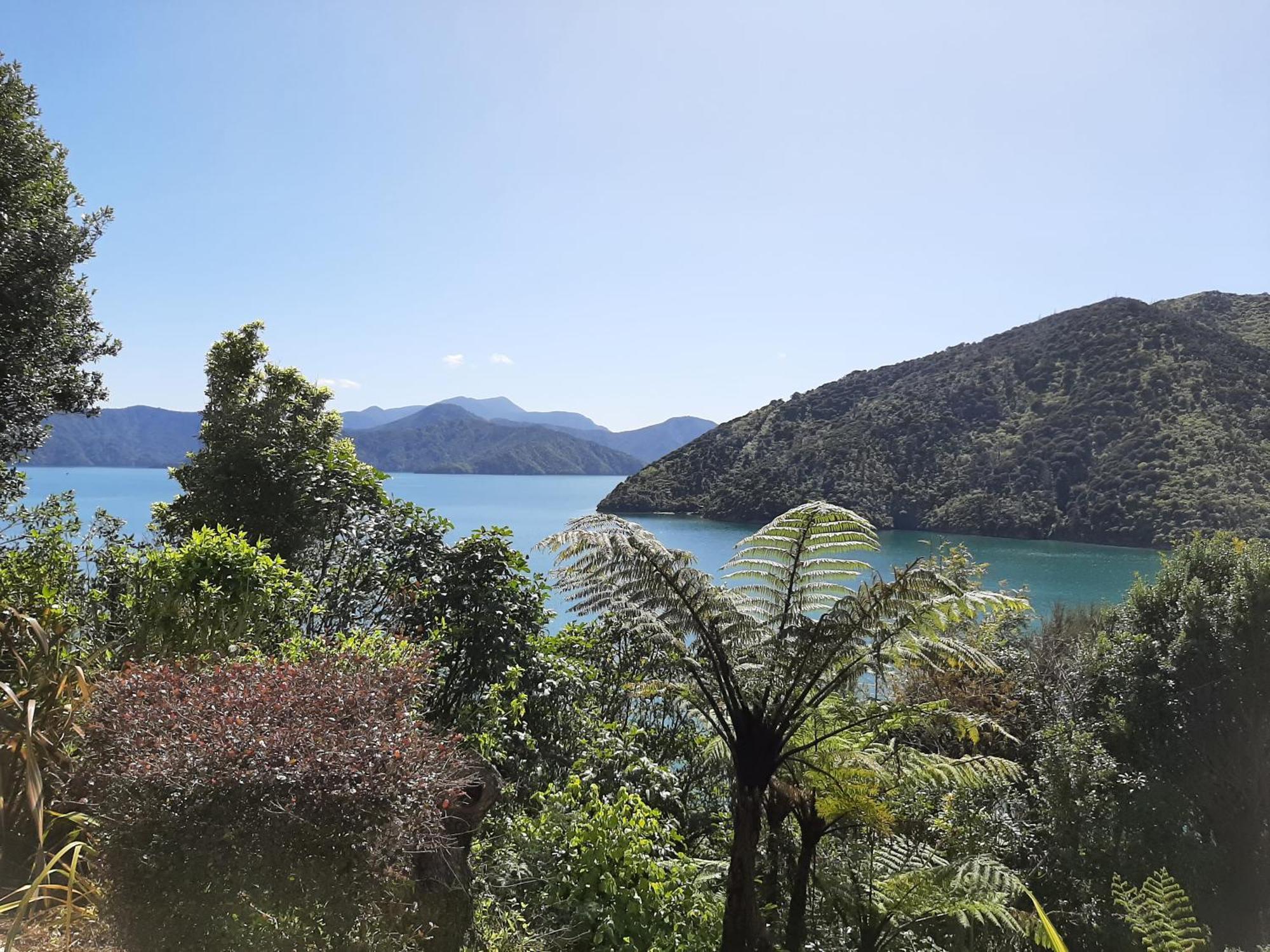 A Sea View B&B Picton Exterior foto