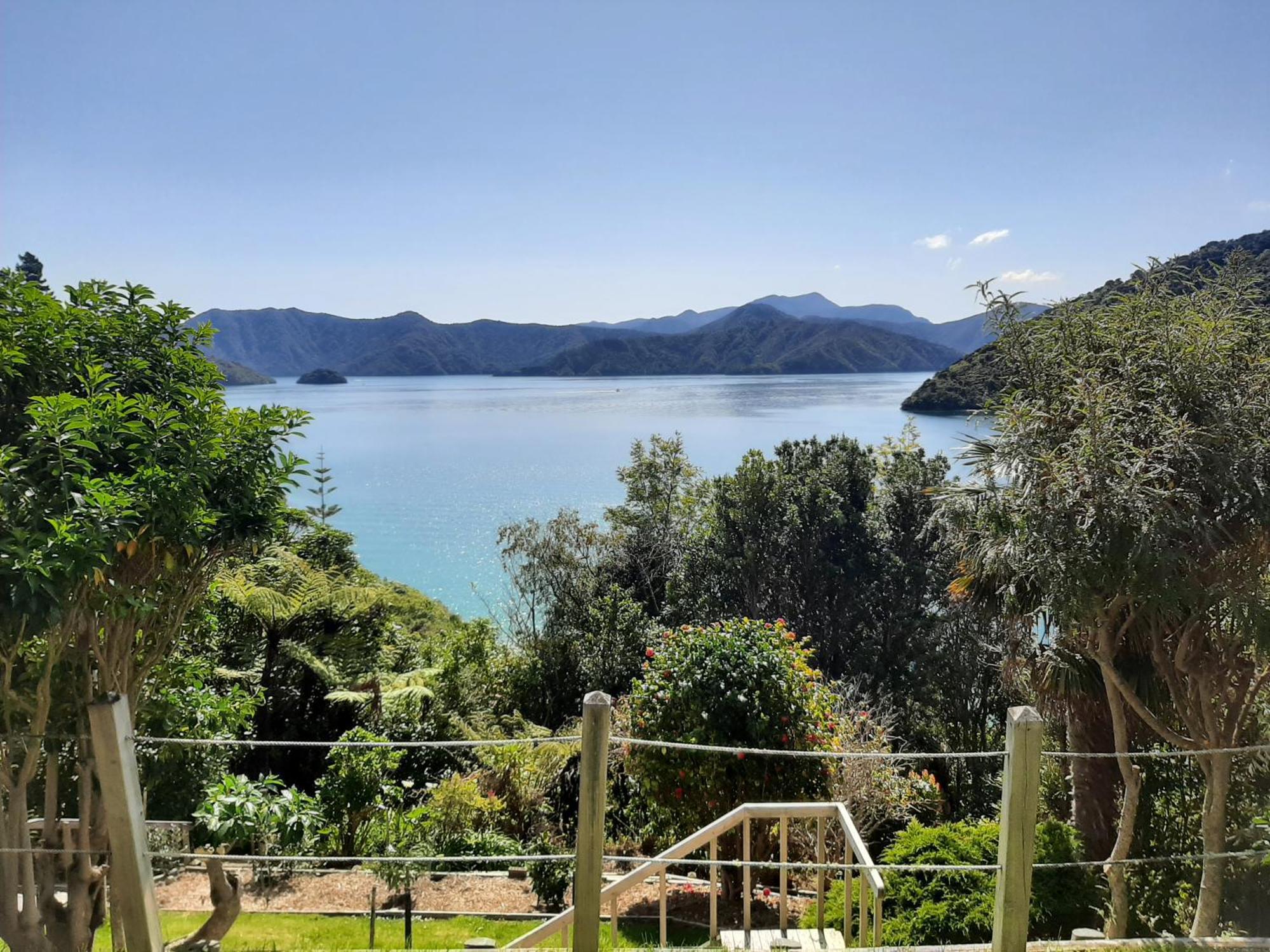 A Sea View B&B Picton Exterior foto